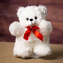 Cuddly White Hug Bear Package