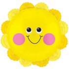14"(smaller) Sunshine
